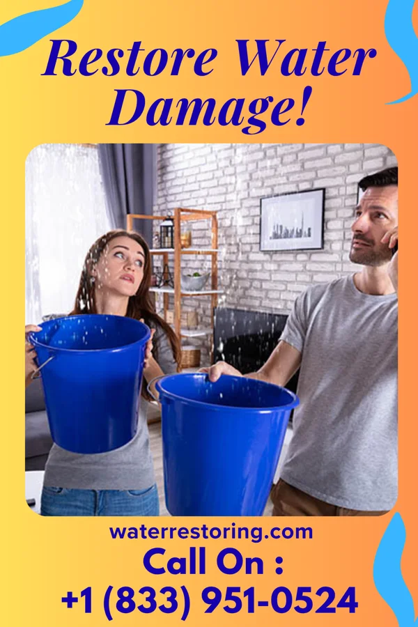water restoration Eco Water Solutions Pros Wilton