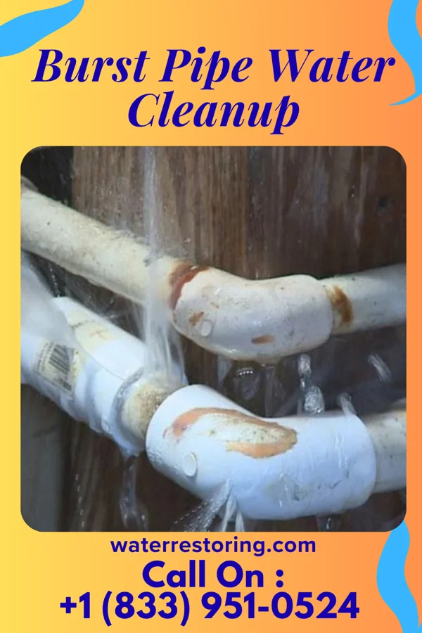 Burst Pipe Water Cleanup in Wilton, IA