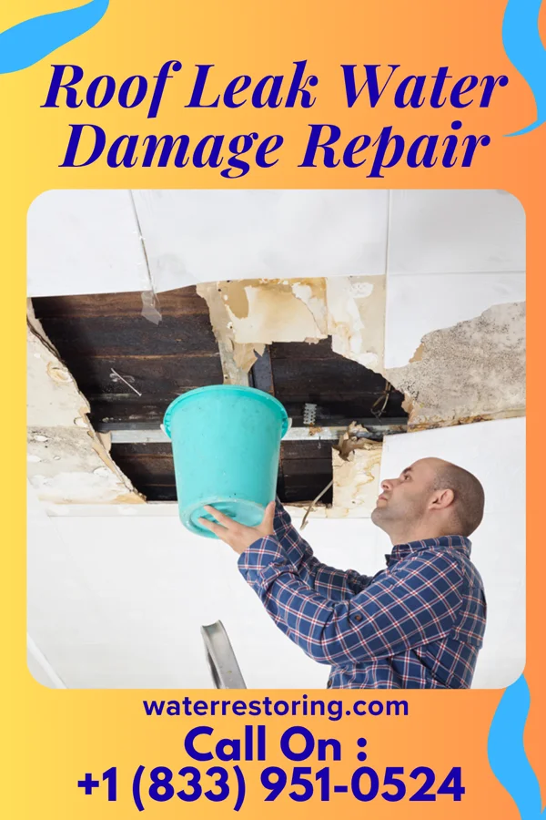 Roof Leak Water Damage Repair in Wilton, IA