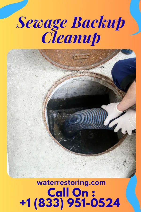 Sewage Backup Cleanup in Wilton, IA