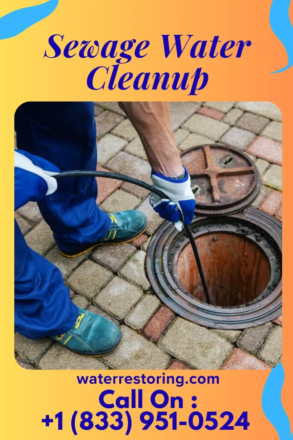 Sewage Water Cleanup in Wilton, IA