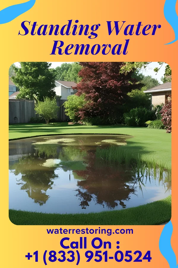 Standing Water Removal in Wilton, IA